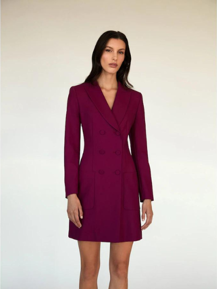 Judith and clearance charles blazer dress