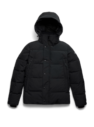 Canada Goose found at Robert Simmonds in downtown Fredericton, NB