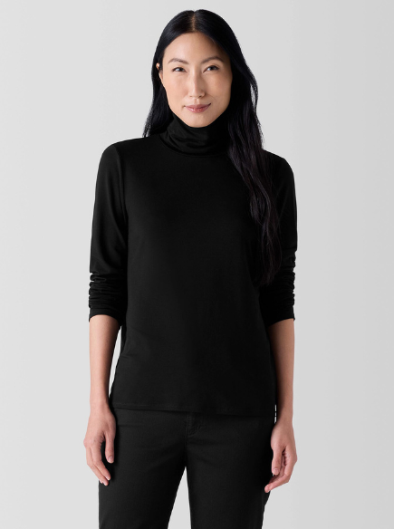 sheer black turtleneck top